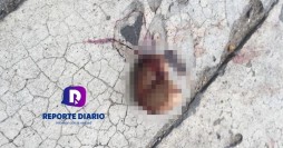 Ciudadanos reportan feto tirado en la banqueta de la esquina de las calles 31 de octubre y Morelos en el centro de la cuidad.