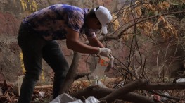 Encabeza Marina de los Santos limpieza del arroyo Camarones; colectan 300 kilos de basura