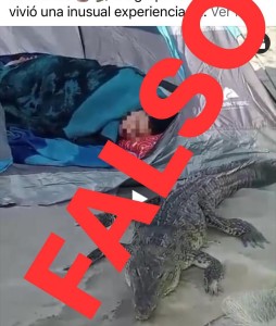 Falsa alarma sobre avistamiento de cocodrilo en Bahía de Banderas
