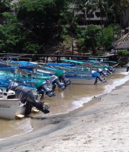 Lancheros impiden acceso al mar a turistas