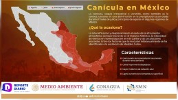 Llega la canícula a 26 entidades de la República Mexicana