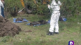 Mega "narco fosa" en Michoacán