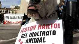 Persiste el maltrato animal en Bahía de Banderas