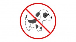Prohibido subir mascotas