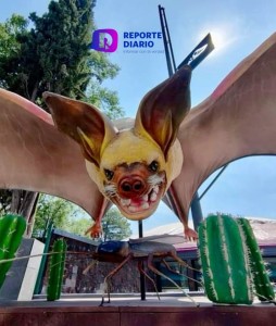 Quiróptera”, el festival sobre Murciélagos en el  Bosque de Chapultepec, CDMX