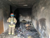 Se incendia casa y entran bomberos a rescatar a un menor.