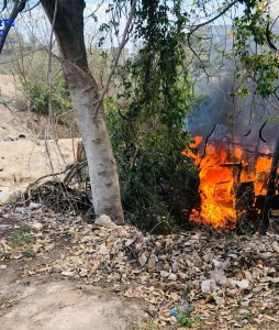 Se registra incendio en Bosque de Progreso.