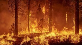 Semadet activa Alerta Atmosférica en Cabo Corrientes y Talpa por incendios forestales
