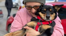 Voluntarios salvan animales atrapados en Ucrania