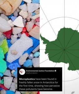 Ya hay plástico hasta en la Antártida