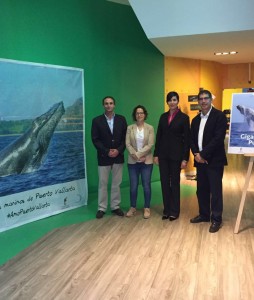 Destacada proyección de Puerto Vallarta en la CDMX con una exposición en el Acuario Inbursa