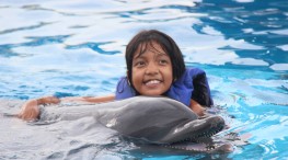 16 niños con cáncer, vivieron una experiencia de nadar con delfines.