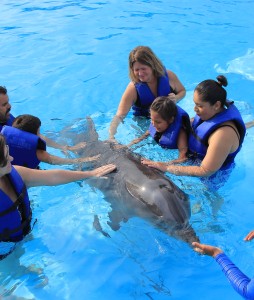 Niños con paladar hendido reciben delfinoterapia