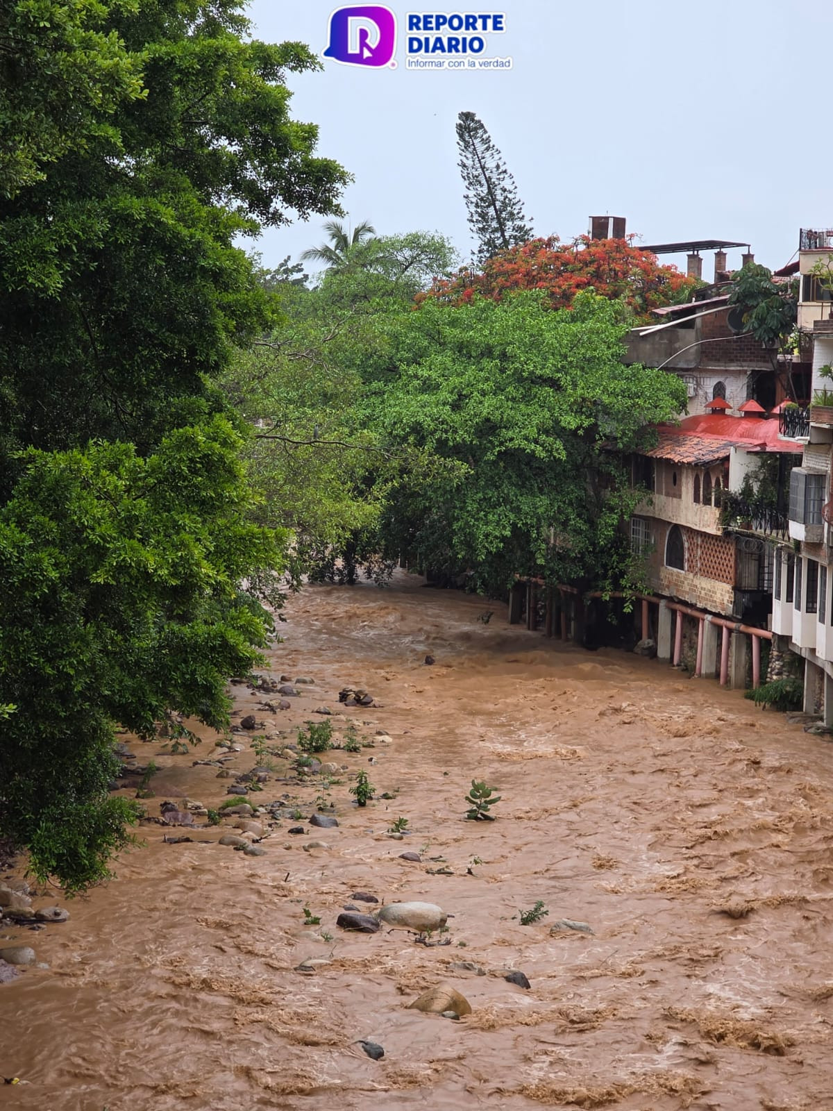 ¡El Río Cuale ya tiene agua! | Reporte Diario Vallarta
